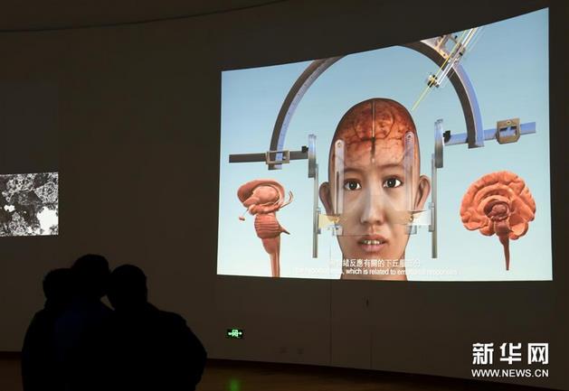 �й���Ժ�ٰ��׽��ý��������