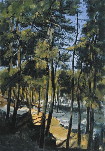 ��д���ơ�����塢����ѧ�ͻ�չ