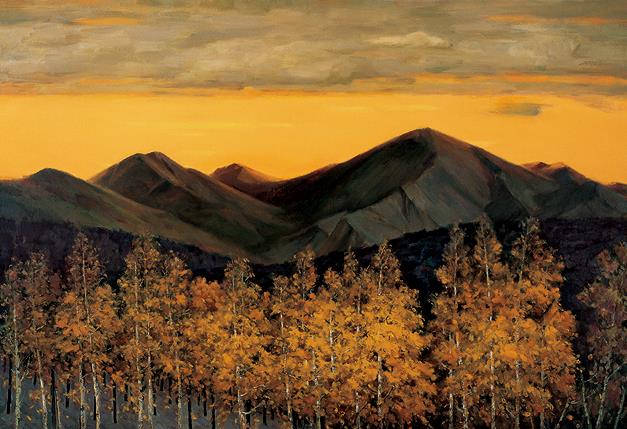 ������Զ��������Ӣ����չ