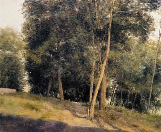 ���� ��ɽ���� 50��60cm 2014��