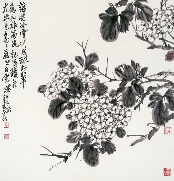 ��˭����ѩ�۳�������