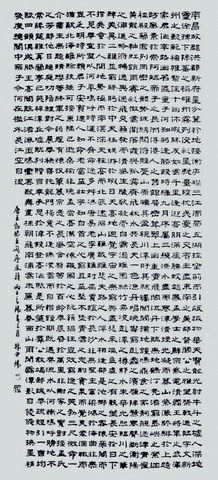 大漠来风——记中国当代著名书法家林中阳先生