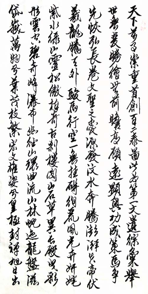 杨宪金先生书法作品:泰山赋