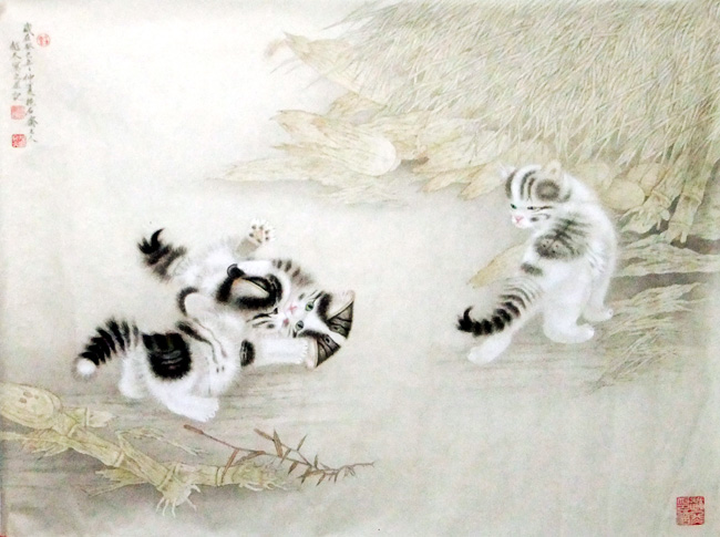 刘越冬--猫