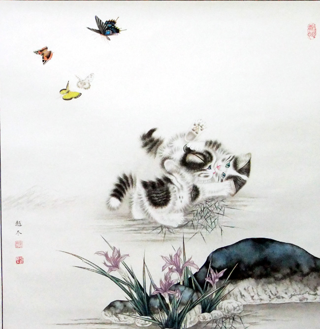 刘越冬--猫