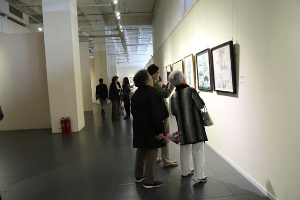 �����ٰ�Ů��������������20�������չ