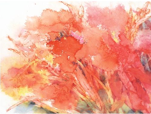 �조��һ��Ů������Ʒ��չ