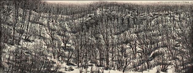 �����ѩ ���ߣ������