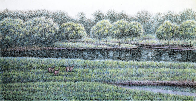 ���׺���Ʒ����ɫ��԰