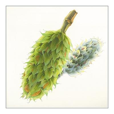 90�����Ϊ�����ѳɹ��� �����������Ƿ׷�ת��