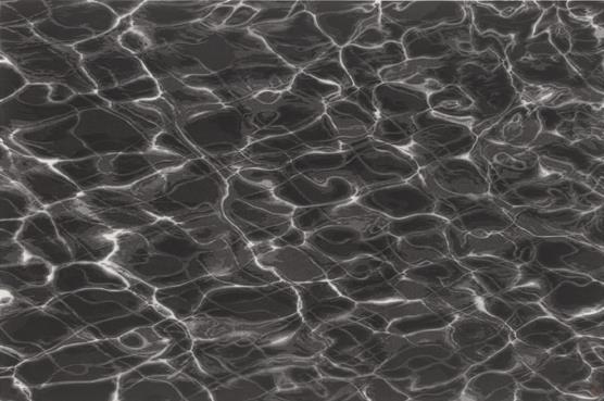 �����й������ݵ���������ī����