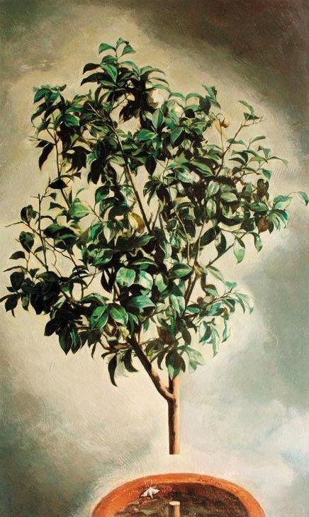 �㽭ʡѧԺ����������������չ��Ļ