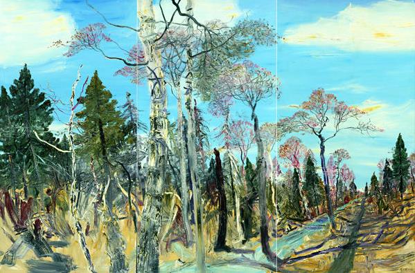 ����ɽ���������ƷѲչ�����׻�������