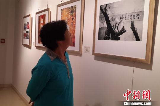 �ӱ��ٰ쾩�򼽰��������ҿ�ս�زɷ�ɹ�չ