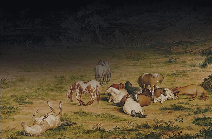 ���������A��������չ�����E�D��