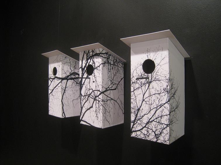 �������й�������������˫��չ��չ