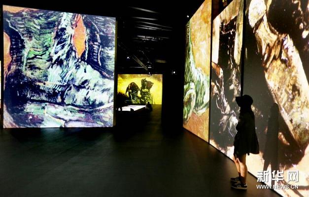 ������ý�塰��ӳ���������������