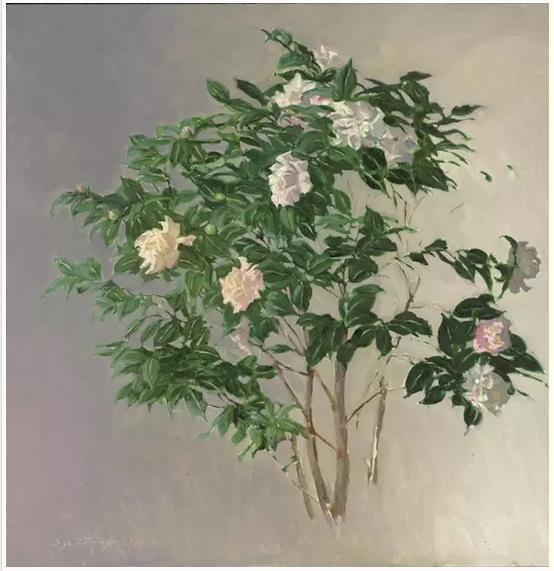 ��ʮ�Ž죨2016���������������ἴ���ں���ʢ��Ļ