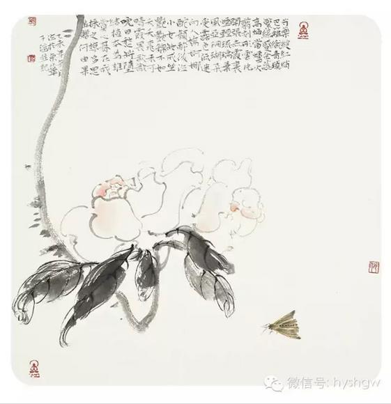 2016�����ι��ʻ���Ѳ��չ�߽�����̫��