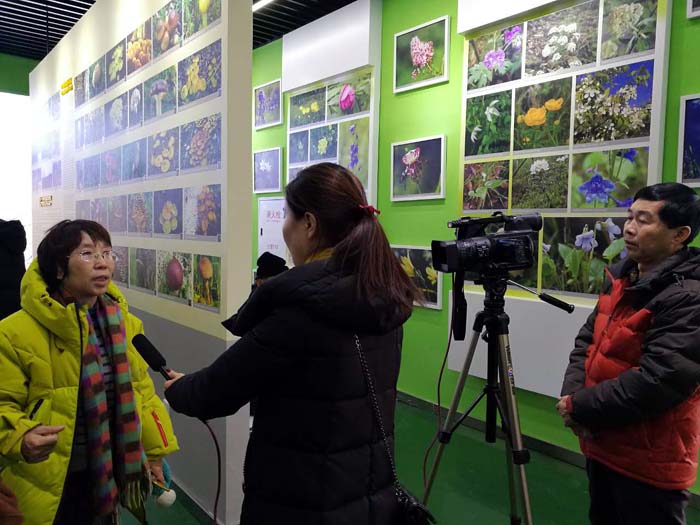 冰雪画艺术研究会秘书长卢平接受根河电视台采访