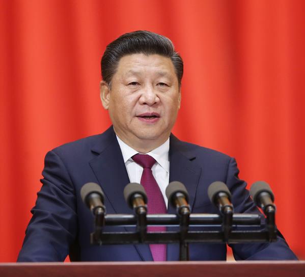 ϰ��ƽ���й�����ʮ���й���Э�Ŵ�Ļʽ�ϵĽ���