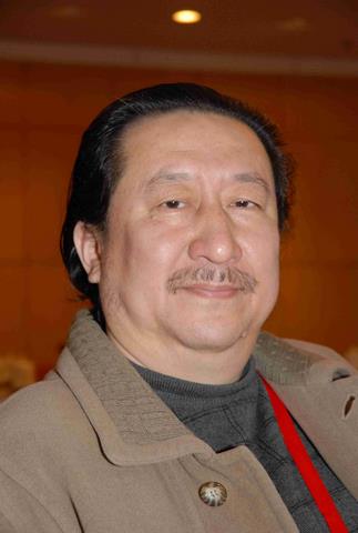 ���������ƽ������Ļ���չս���γ�