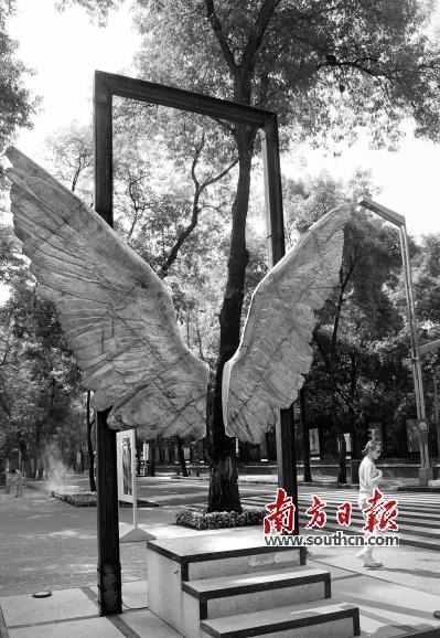 ī����֮�����������ա����ֵ���չ����㶫