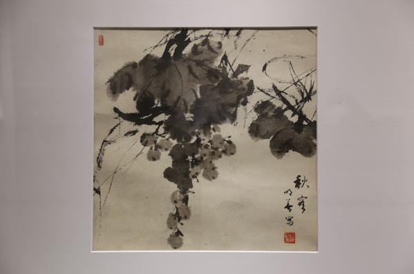 �������黭����չ������������ݿ�Ļ