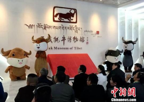 �ƿ���ʦ�����Ƶ�ʦ����Ʒչ��������