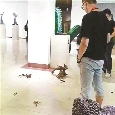 �ι��߽�̤��Ʒ���� ������Ժ��ҵչ������Ʒ���ٻ�