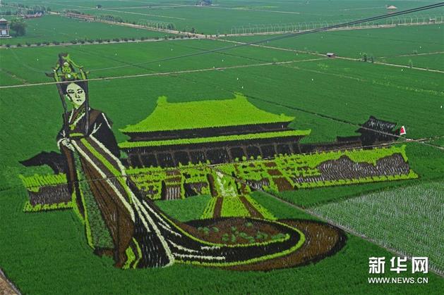 �޷����ﻭ��������������