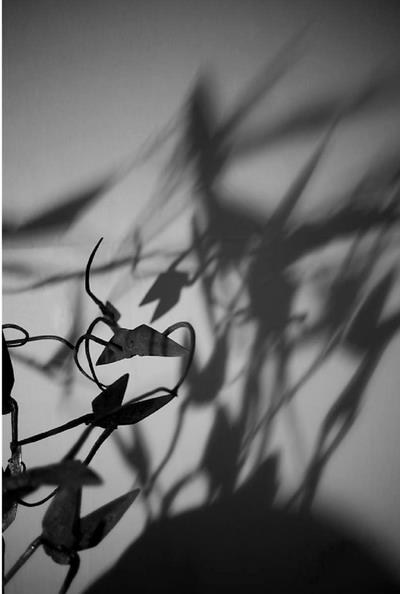 ˮ+ī�����������еĴ�ͳ�����಼³����