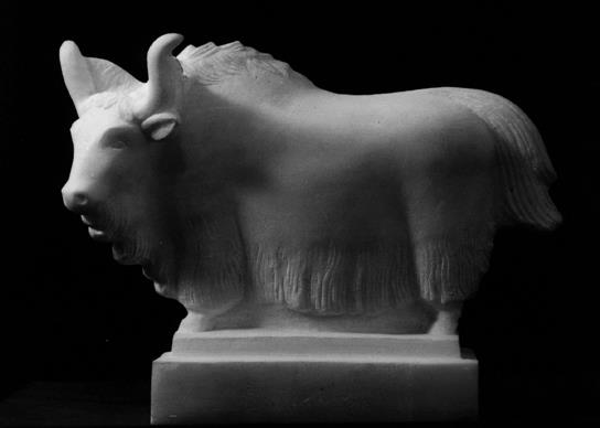 ���������ʮ�����й�����չ���Ϻ���Ļ