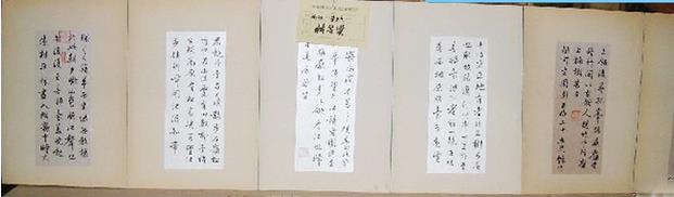 还记得获全国第四届妇女书法篆刻展览特等奖的美女吗