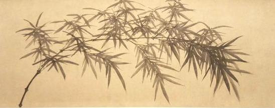 �ʹ��������\�黭��չ�� ���������黭�ĳ�ǰ����