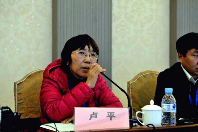 冰雪画艺术研究会秘书长卢平发言