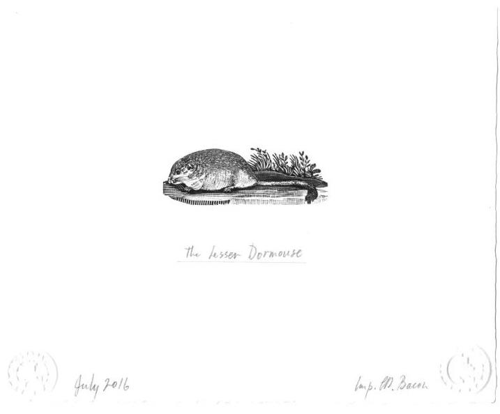 国际木口木刻版画作品及文献展开幕