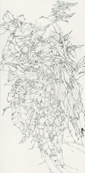 �����﷫��Ҧ˴����Ʒչ�������������ݿ�