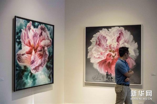 �й���������չ����������