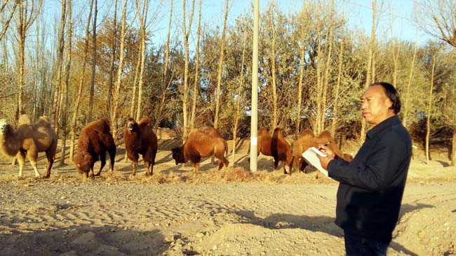 ����ʡ��Э����ϯ��������������ī����