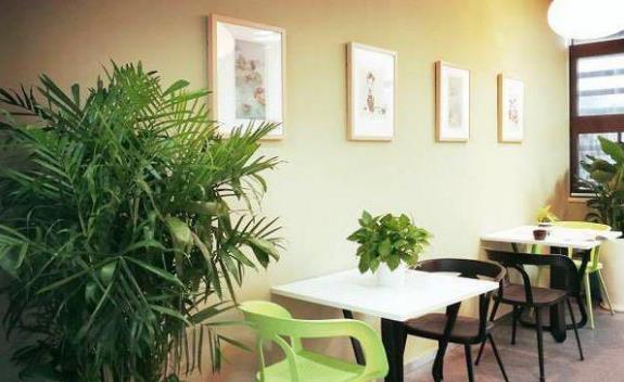 “0元限免”把“画廊”开进办公区