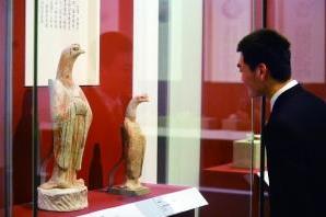 �����ײ�չ�����������������