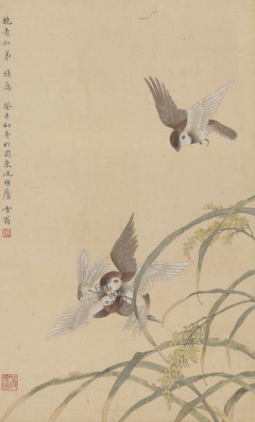 ���㡤���Ρ�������������������չ