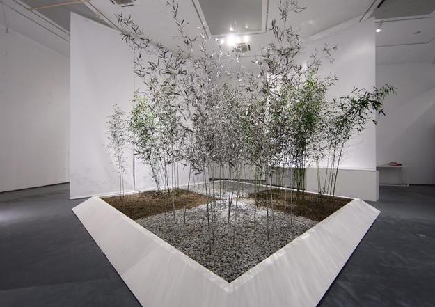 �������������������������չ