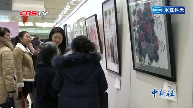 Ů������Ʒ�������˽� չ�����������