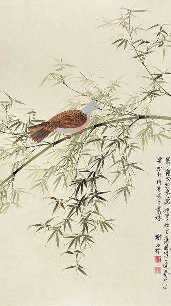 л���� ������ 85.5��49cm ����� ������Ժ��