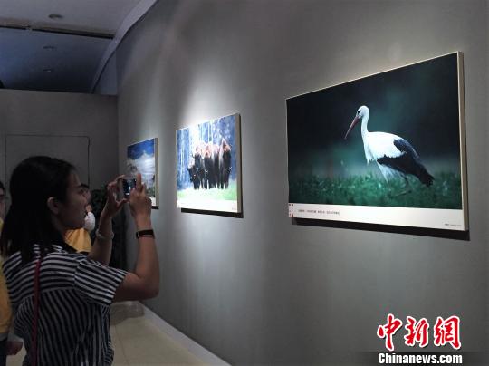 “东方遇到西方‘纸上缤纷’波兰艺术展”贵州开展