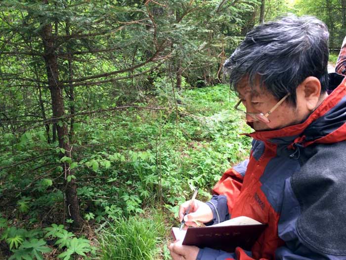 于志学率冰雪画派在小兴安岭红松故乡五营原始森林写生