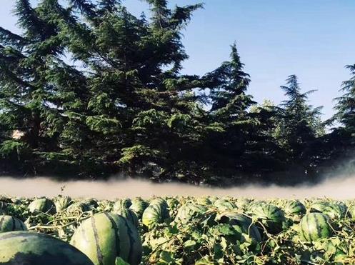 ������չ����3500������ ���ࡰ��������Ϊ����