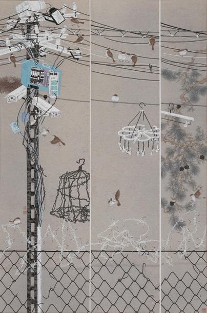 �鳲  ���ߣ�������  ���������2016